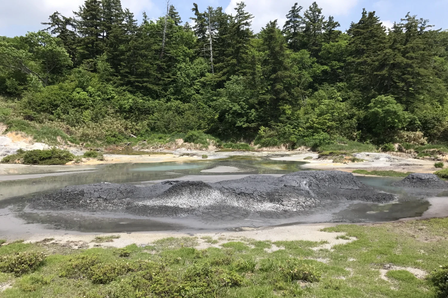 後生掛自然研究路