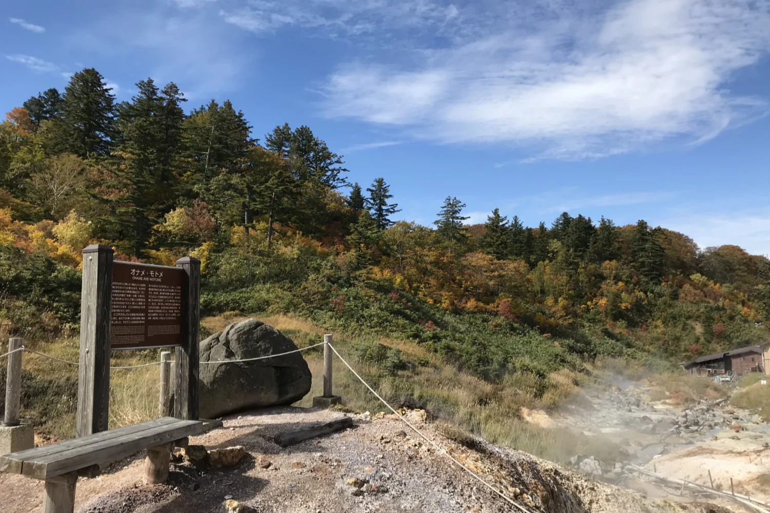 後生掛自然研究路