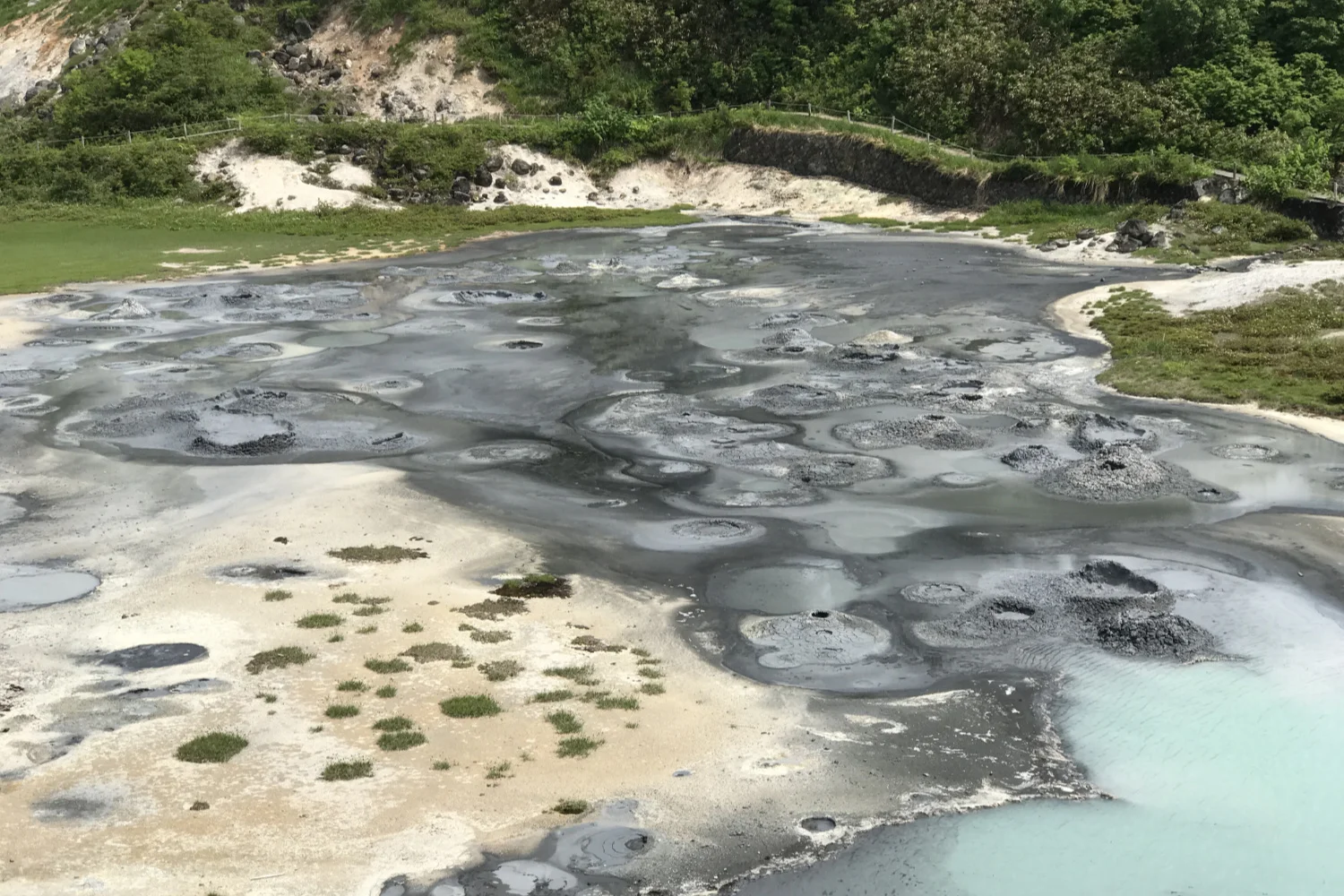 後生掛自然研究路