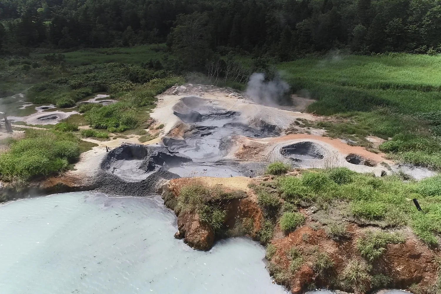 後生掛自然研究路