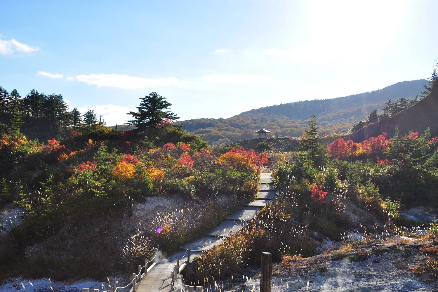 後生掛自然研究路