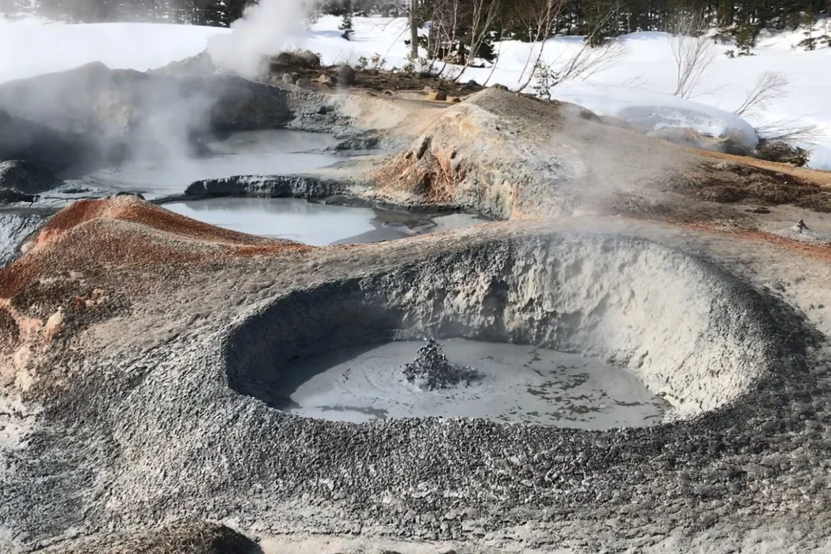 後生掛自然研究路