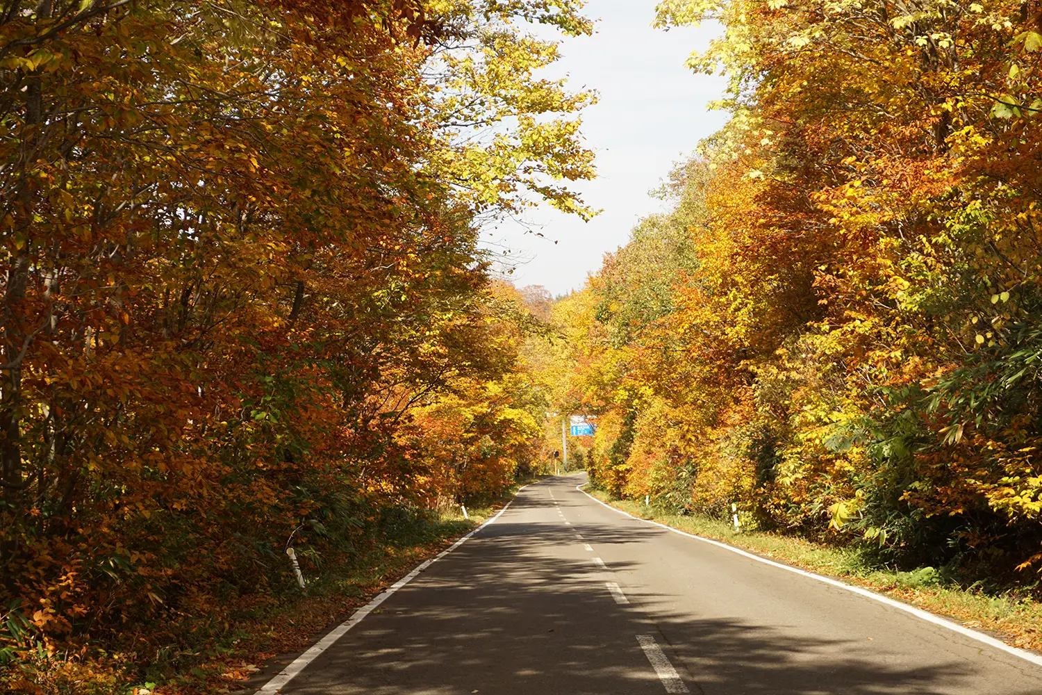 後生掛温泉 交通・周辺案内